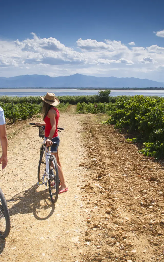 Deux personnes avec des vélos sur un chemin en terre entre des vignes, avec un étang et des montagnes en arrière-plan.