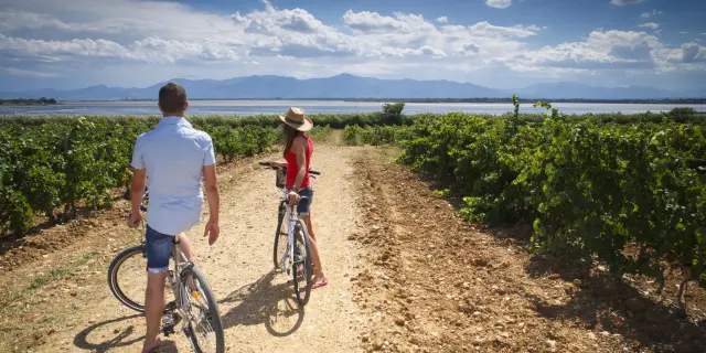 Deux personnes avec des vélos sur un chemin en terre entre des vignes, avec un étang et des montagnes en arrière-plan.