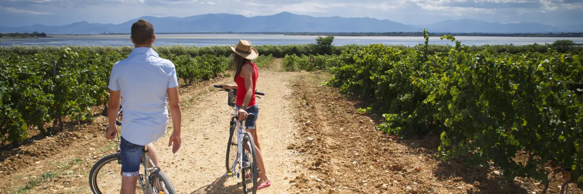 Deux personnes avec des vélos sur un chemin en terre entre des vignes, avec un étang et des montagnes en arrière-plan.