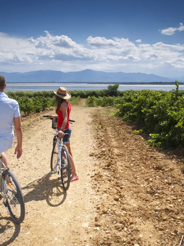 Deux personnes avec des vélos sur un chemin en terre entre des vignes, avec un étang et des montagnes en arrière-plan.