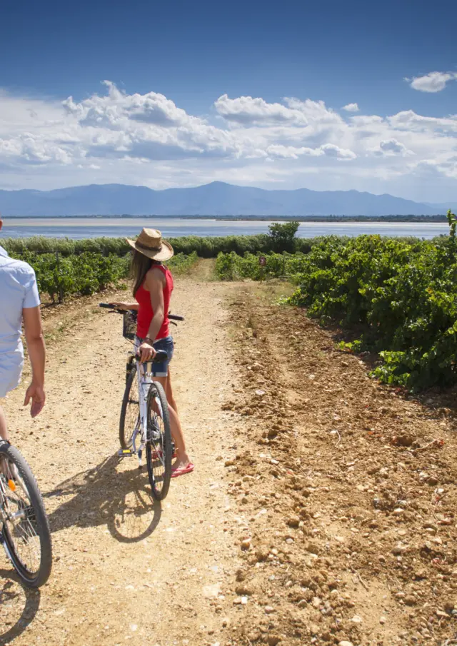 Deux personnes avec des vélos sur un chemin en terre entre des vignes, avec un étang et des montagnes en arrière-plan.