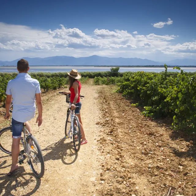Deux personnes avec des vélos sur un chemin en terre entre des vignes, avec un étang et des montagnes en arrière-plan.