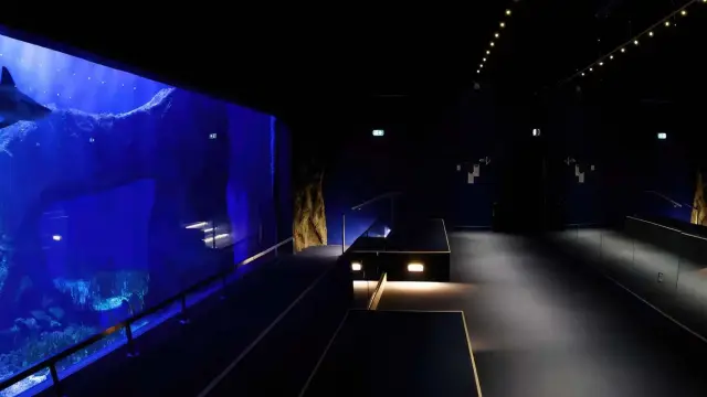 Parcours immersif Oniria à Canet-en-Roussillon : couloir sombre longeant un grand aquarium bleu avec un requin.