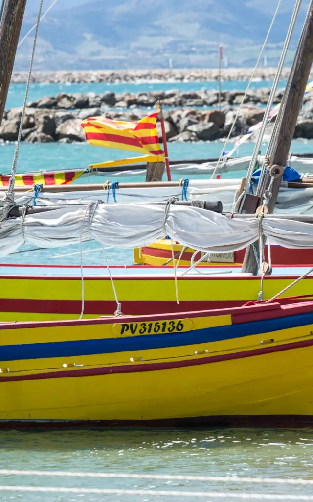 Barques catalanes colorées amarrées dans l’eau avec des mâts et voiles repliées, lors d’une régate en bord de mer.