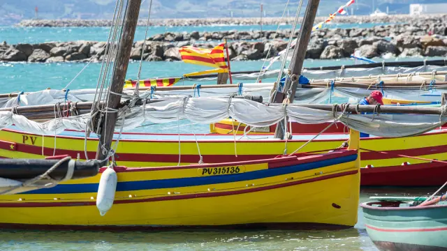 Barques catalanes colorées amarrées dans l’eau avec des mâts et voiles repliées, lors d’une régate en bord de mer.