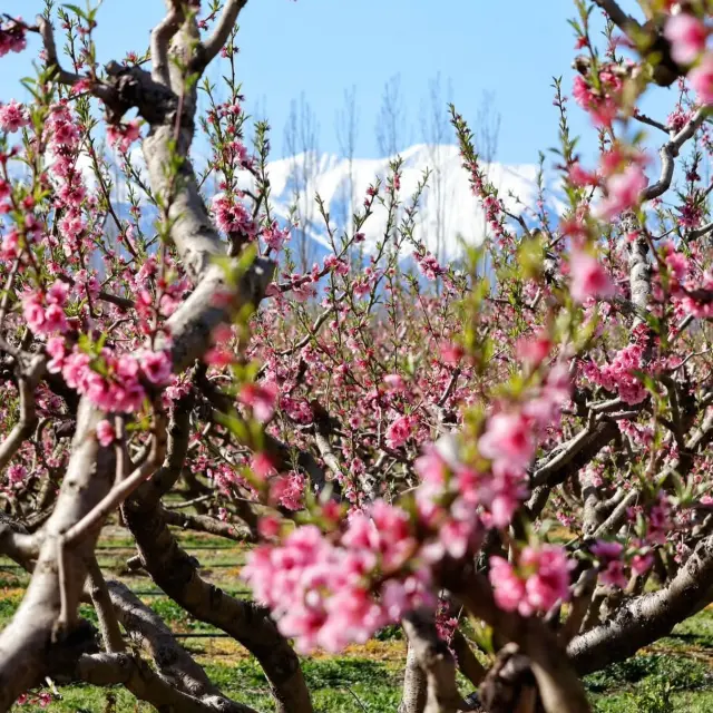 Instagram #toutestici