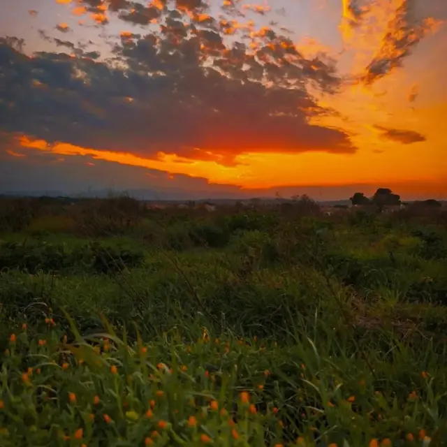 Instagram #toutestici