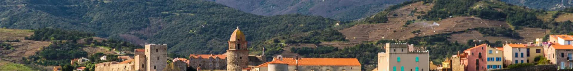 Collioure vue depuis la mer avec clocher et montagnes en arrière-plan.