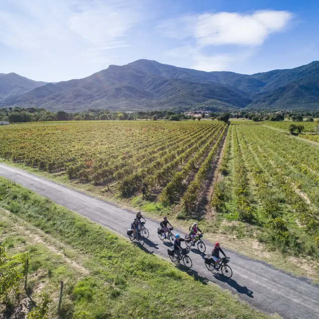 66 Saint Genis Des Fontaines Lmv O Octobre Bd Dji 0221