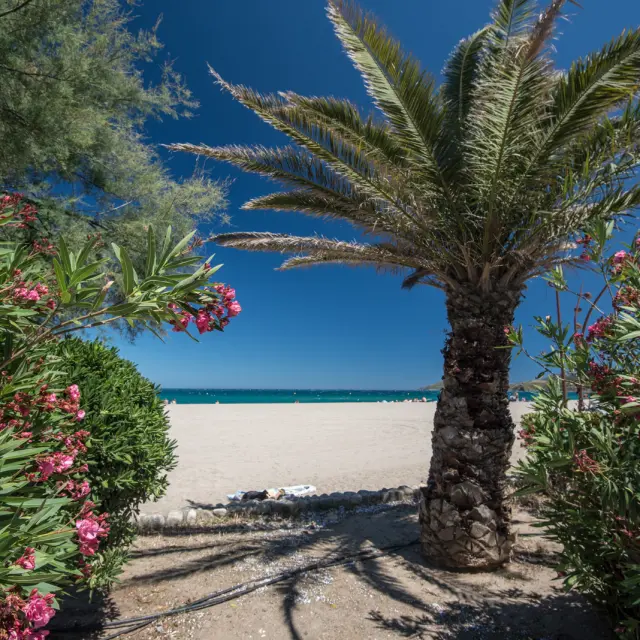 Argeles 13788 Ll
