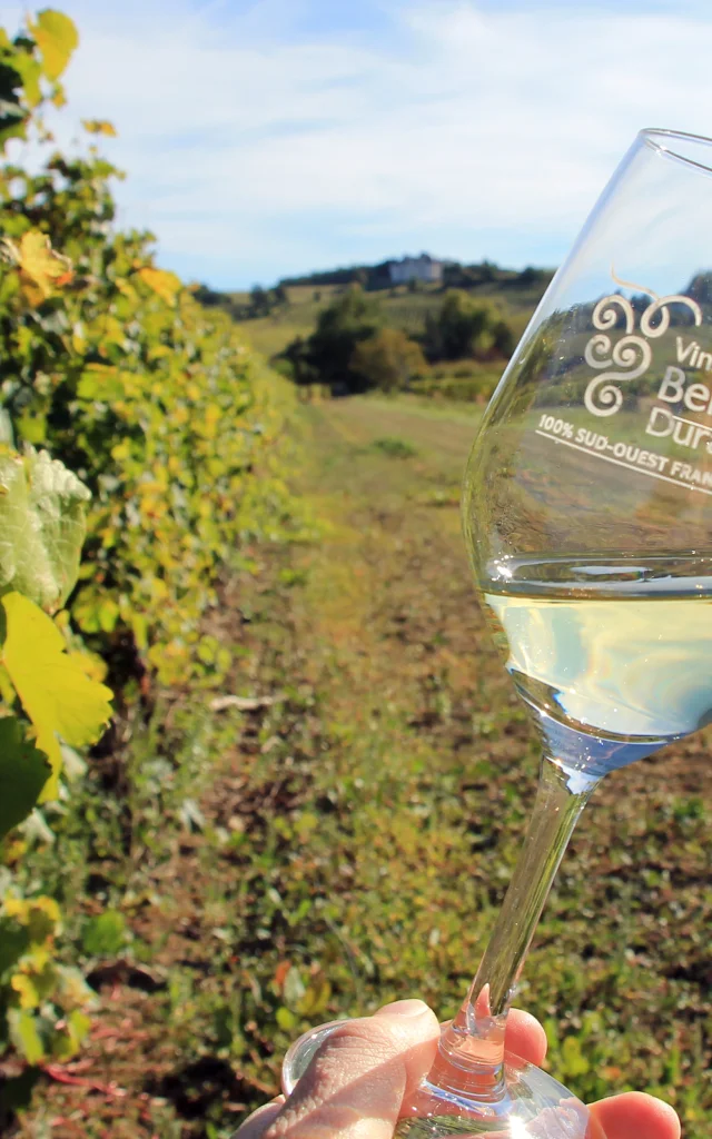 Vignoble de Monbazillac Château Poulvere