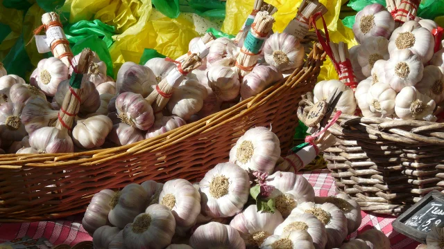 Pasos 2