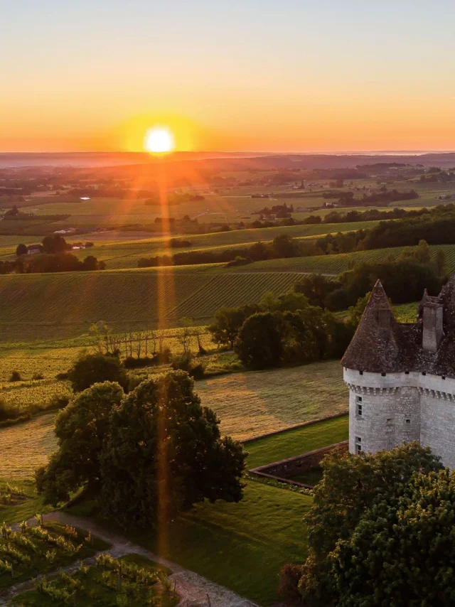 Tours And Activities