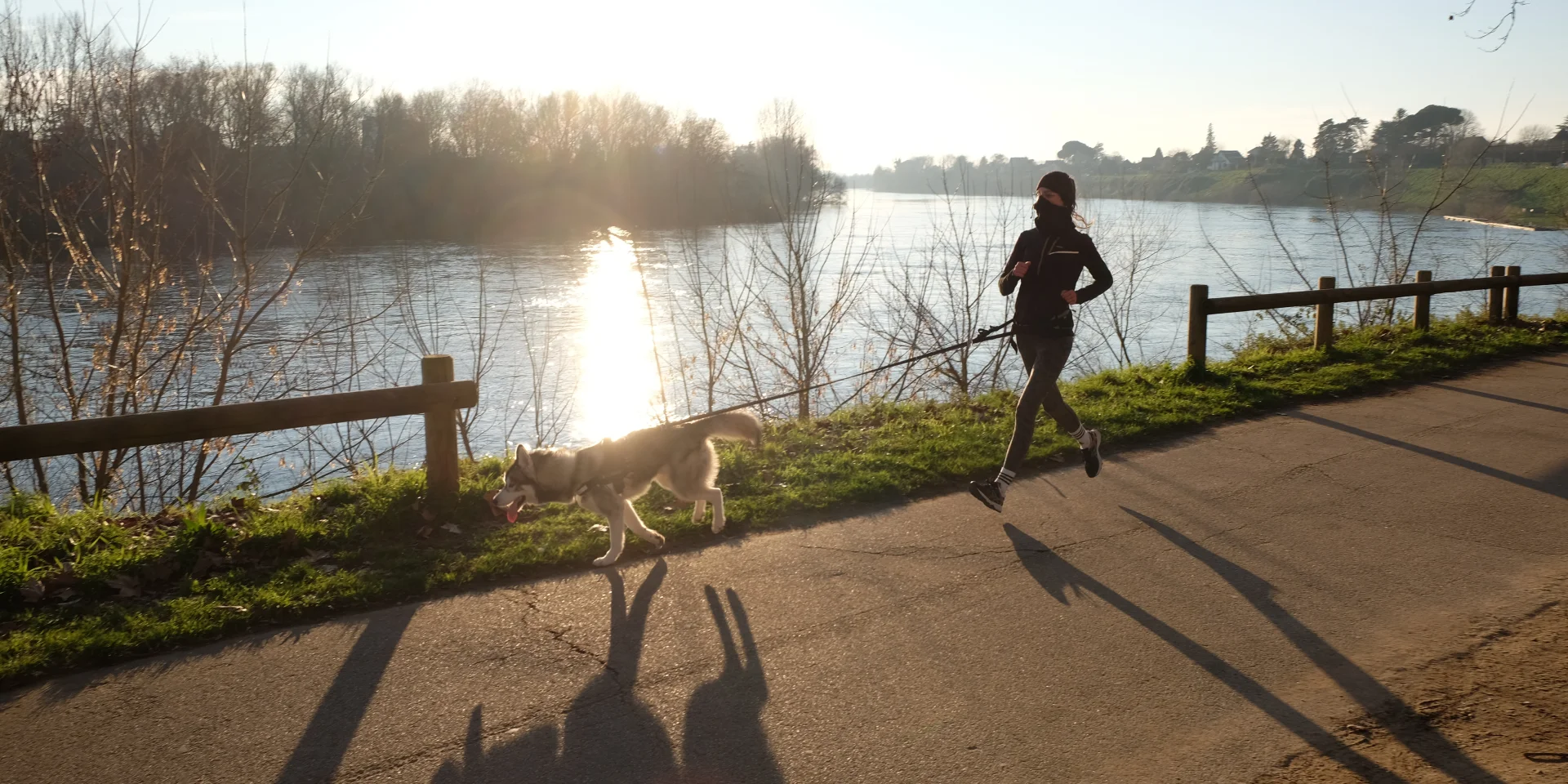 Se promener en bord de Dordogne avec son animal de compagnie