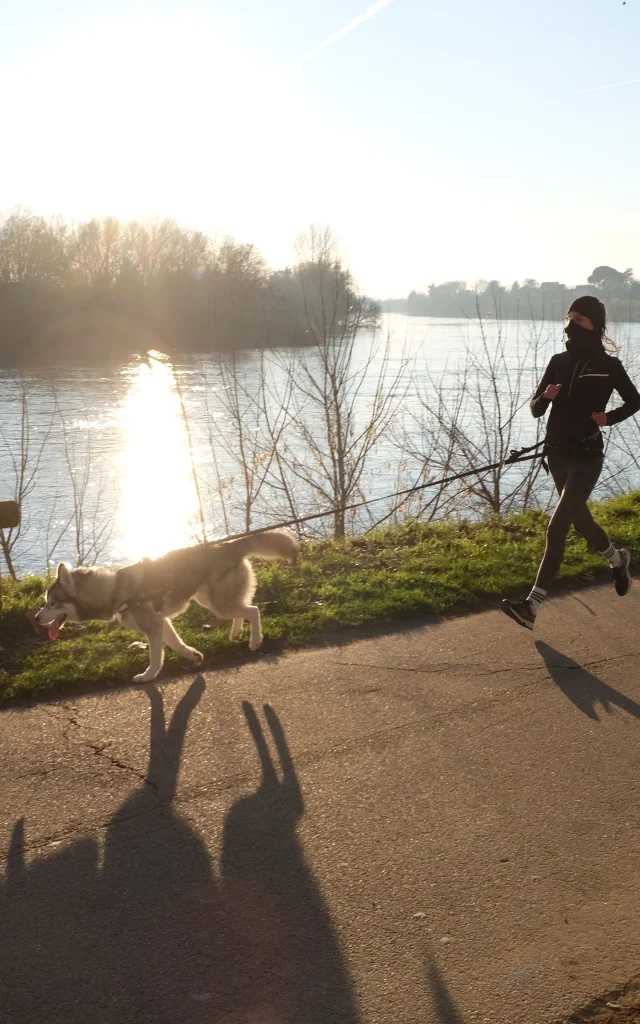 Se promener en bord de Dordogne avec son animal de compagnie