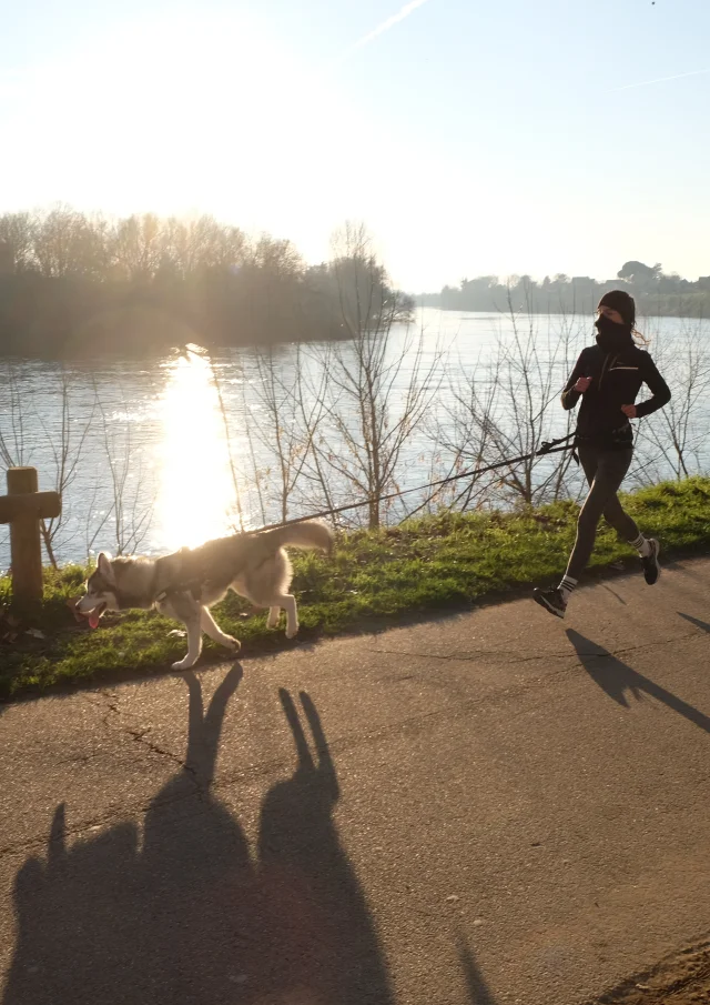 Se promener en bord de Dordogne avec son animal de compagnie
