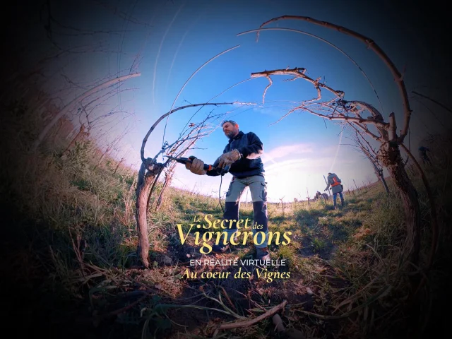 Le Secret Des Vignerons à Pomport