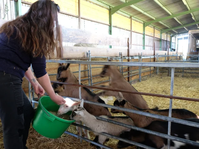 La Ferme du Charmat à Ribagnac