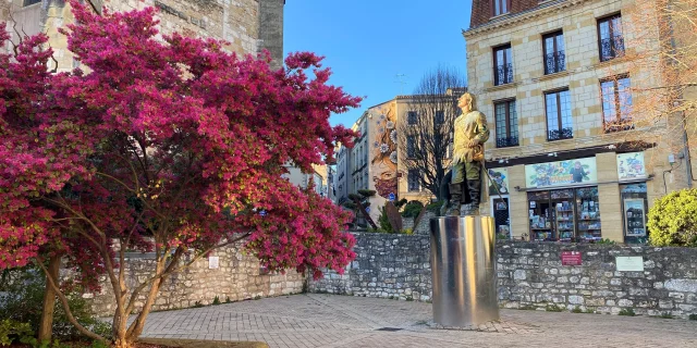 Dans Les Pas De Cyrano