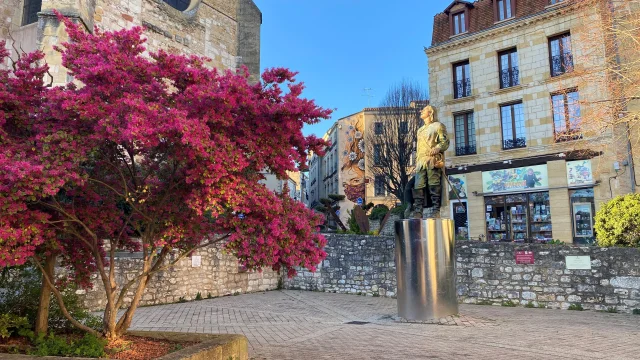 Dans Les Pas De Cyrano