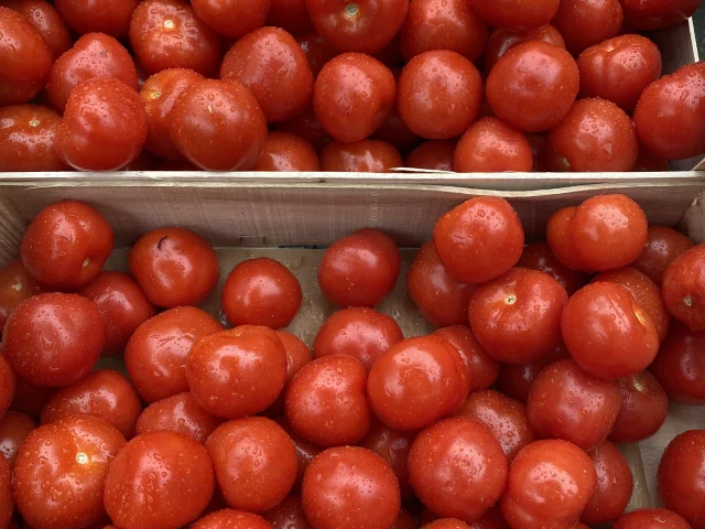 Tomates sur le marché de Bergerac