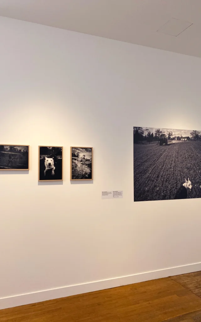 Centre d’art de la photographie de Bergerac - Espace Romain-Rolland