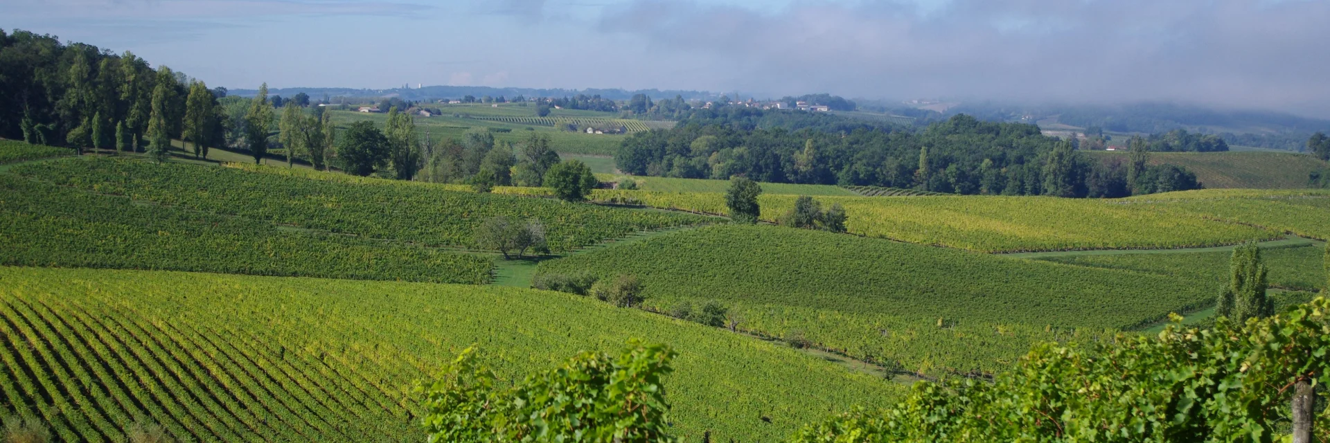 Vignoble de Bergerac et Duras