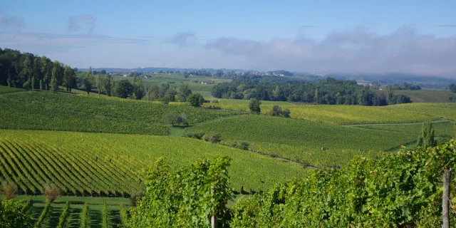 Vignoble de Bergerac et Duras