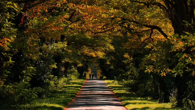 Campagne Bergeracoise En Automne