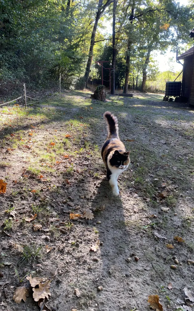 Le Gîte du Pic Vert