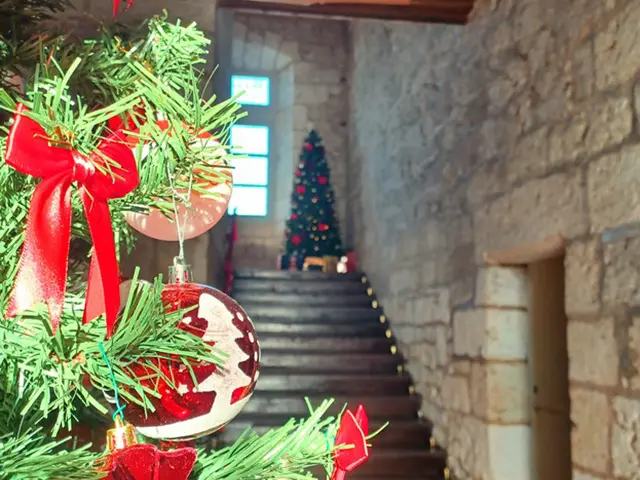 Le Chateau De Monbazillac David Courtoisie 3