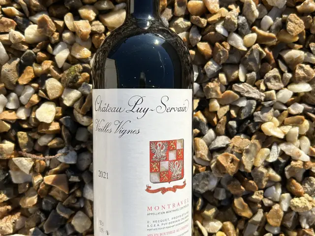 Château Puy Servain