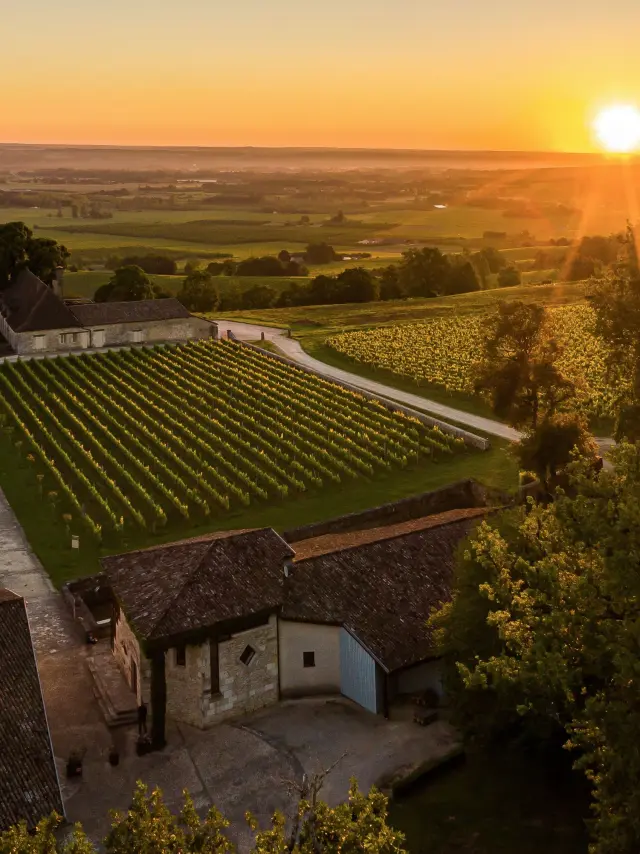 Château de Monbazillac