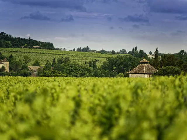 Domaine de Fayolle