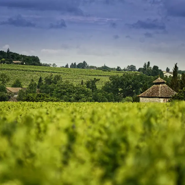 Domaine de Fayolle