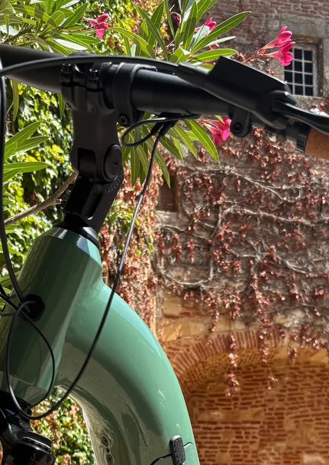 À Quai Cyrano, on vibre au rythme du Tour de France !