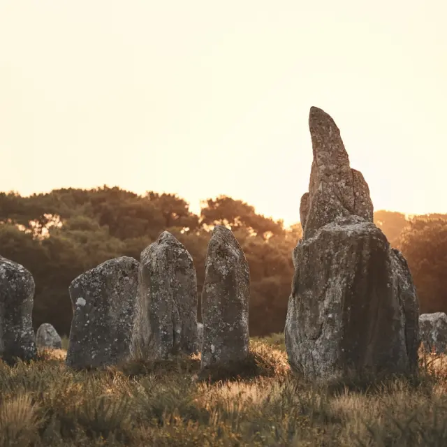 Una mattinata tra i menhir di Carnac