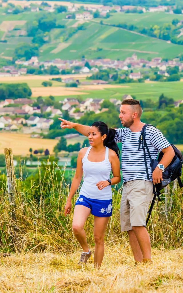 Randonnée Dans Le Vignoble Champenois