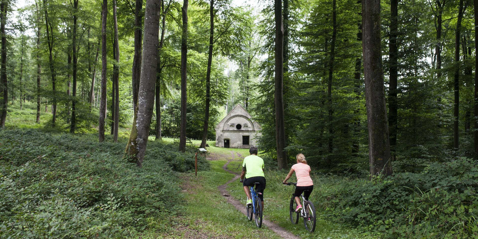 Forêt De Retz Randonnée En Vtt (2)