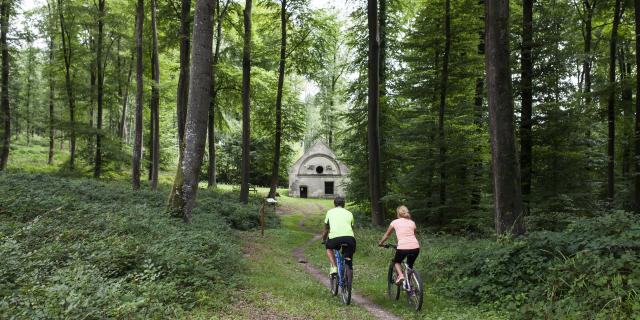 Forêt De Retz Randonnée En Vtt (2)