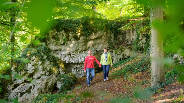 Randonnee En Foret De Saint Gobain 2