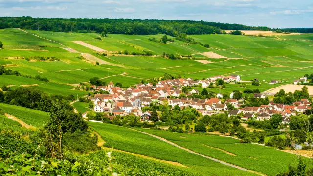 Randonnee Dans Le Vignoble Champagne 2 1