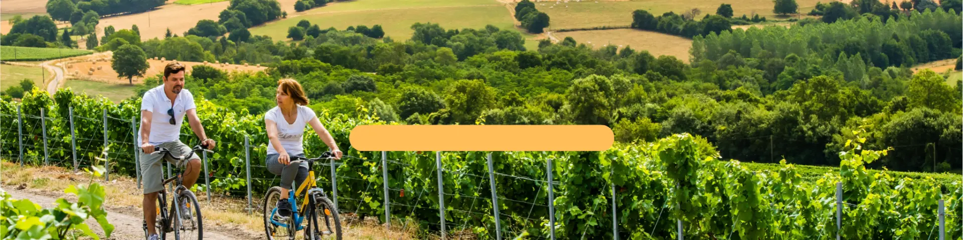 Design Sans Titre 1 1