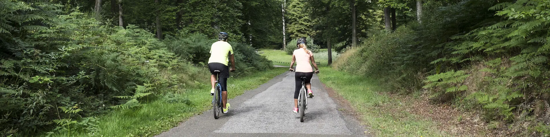 Foret De Retz Rando Vttmathieu Farcy 10