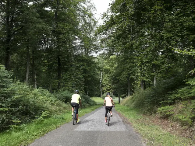 Foret De Retz Rando Vttmathieu Farcy 10