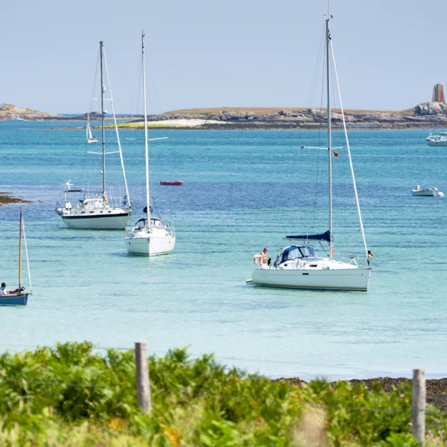 Archipel des Glénan, Ile Saint Nicolas, Fouesnant