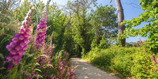Allee Du Dourmeur, Saint-Evarzec