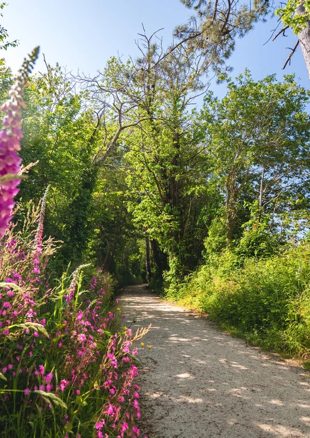 Allee Du Dourmeur à Saint-Evarzec