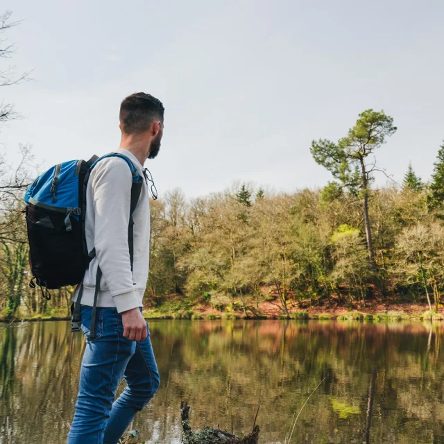 A walk in the Bois Du Moustoir in Saint Evarzec