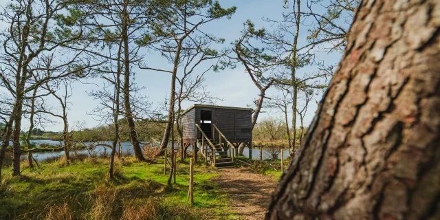 Vogelbeobachtung im Marais de Mousterlin in Fouesnant 1